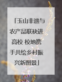 玉山非遗与农产品联袂进高校 校地携手共绘乡村振兴新图景