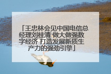 王忠林会见中国电信总经理刘桂清 做大做强数字经济 打造发展新质生产力的强劲引擎