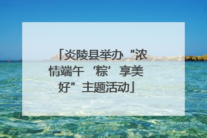 炎陵县举办“浓情端午‘粽’享美好”主题活动