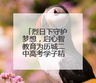 烈日下守护梦想，启心智教育为历城二中高考学子精准“护航”