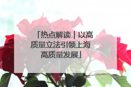 热点解读｜以高质量立法引领上海高质量发展