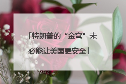 特朗普的“金穹”未必能让美国更安全
