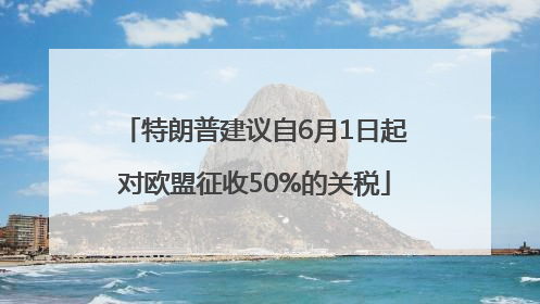 特朗普建议自6月1日起对欧盟征收50%的关税