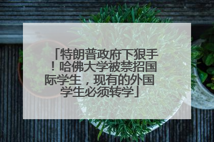 特朗普政府下狠手！哈佛大学被禁招国际学生，现有的外国学生必须转学