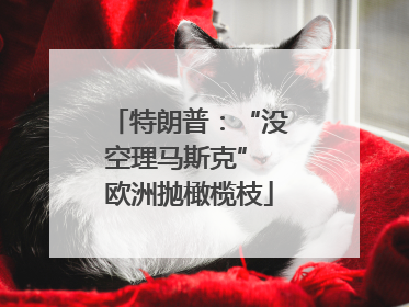 特朗普：“没空理马斯克” 欧洲抛橄榄枝