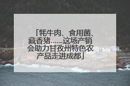 牦牛肉、食用菌、藏香猪……这场产销会助力甘孜州特色农产品走进成都