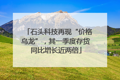 石头科技再现“价格乌龙”，其一季度存货同比增长近两倍