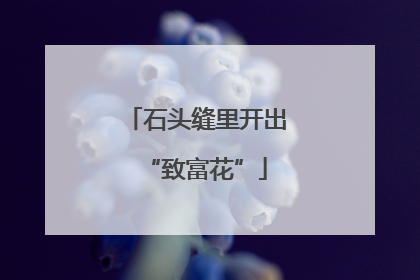 石头缝里开出“致富花”