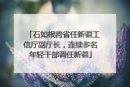 石如根跨省任新疆工信厅副厅长，连续多名年轻干部调任新疆