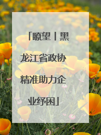 瞭望丨黑龙江省政协精准助力企业纾困