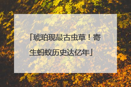 琥珀现最古虫草！寄生蚂蚁历史达亿年