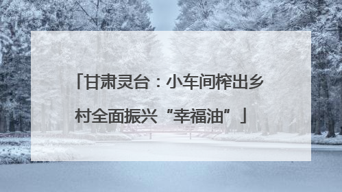 甘肃灵台：小车间榨出乡村全面振兴“幸福油”