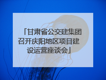 甘肃省公交建集团召开庆阳地区项目建设运营座谈会