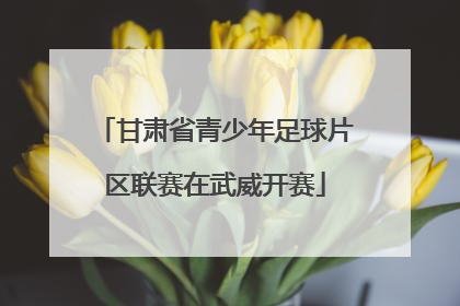 甘肃省青少年足球片区联赛在武威开赛