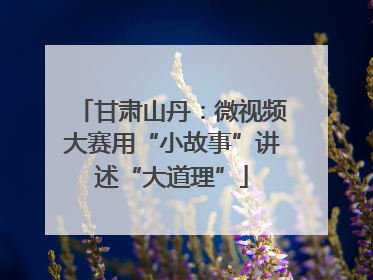 甘肃山丹：微视频大赛用“小故事”讲述“大道理”
