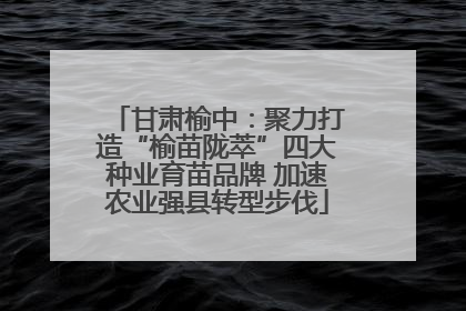 甘肃榆中：聚力打造“榆苗陇萃”四大种业育苗品牌 加速农业强县转型步伐