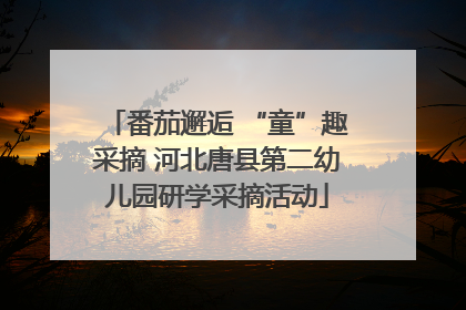 番茄邂逅 “童”趣采摘 河北唐县第二幼儿园研学采摘活动