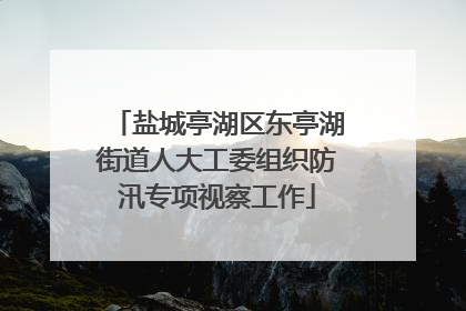 盐城亭湖区东亭湖街道人大工委组织防汛专项视察工作