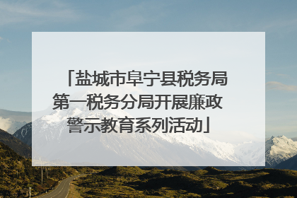 盐城市阜宁县税务局第一税务分局开展廉政警示教育系列活动