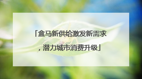 盒马新供给激发新需求，潜力城市消费升级