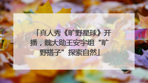 真人秀《旷野星球》开播，魏大勋王安宇组“旷野搭子”探索自然
