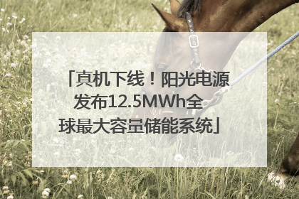 真机下线！阳光电源发布12.5MWh全球最大容量储能系统