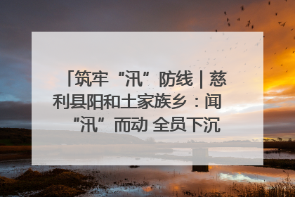 筑牢“汛”防线｜慈利县阳和土家族乡：闻“汛”而动 全员下沉筑牢防汛“安全堤”