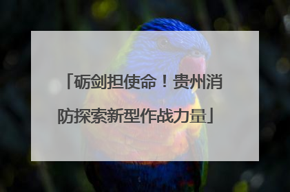 砺剑担使命！贵州消防探索新型作战力量