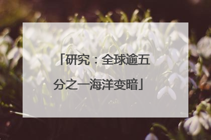 研究：全球逾五分之一海洋变暗