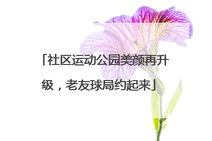 社区运动公园美颜再升级，老友球局约起来