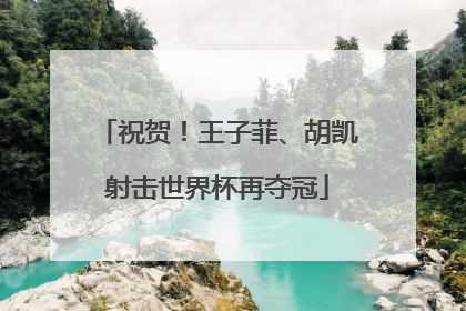 祝贺！王子菲、胡凯射击世界杯再夺冠