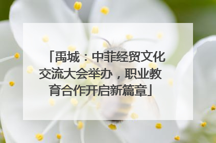 禹城：中菲经贸文化交流大会举办，职业教育合作开启新篇章