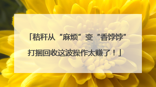 秸秆从“麻烦”变“香饽饽” 打捆回收这波操作太赚了！