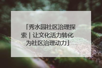 秀水园社区治理探索｜让文化活力转化为社区治理动力