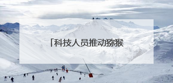 科技人员推动猕猴桃产业转型 为村民解锁“富民密码”