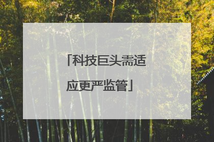 科技巨头需适应更严监管