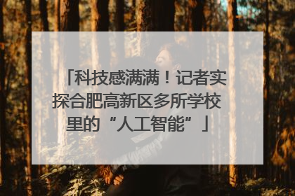 科技感满满！记者实探合肥高新区多所学校里的“人工智能”