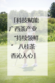 科技赋能广西茶产业“持续领鲜” 八桂茶香沁人心