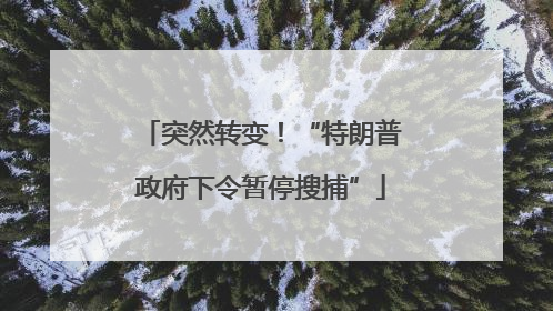 突然转变！“特朗普政府下令暂停搜捕”