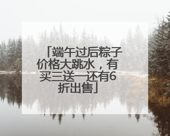 端午过后粽子价格大跳水，有买三送一还有6折出售
