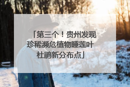 第三个！贵州发现珍稀濒危植物睡莲叶杜鹃新分布点