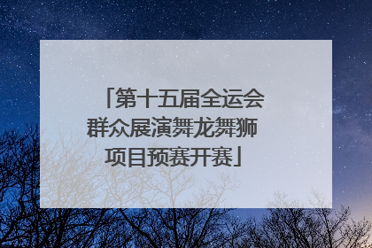 第十五届全运会群众展演舞龙舞狮项目预赛开赛
