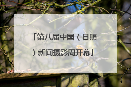 第八届中国（日照）新闻摄影周开幕