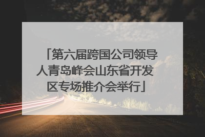 第六届跨国公司领导人青岛峰会山东省开发区专场推介会举行