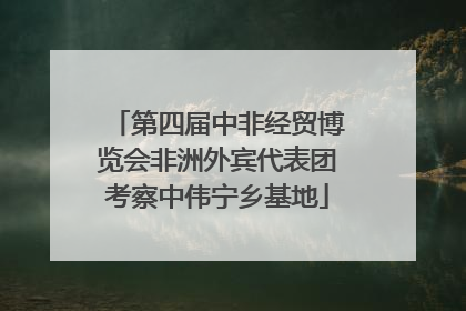 第四届中非经贸博览会非洲外宾代表团考察中伟宁乡基地