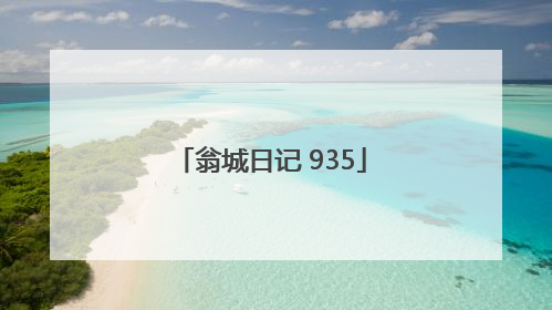 翁城日记 935