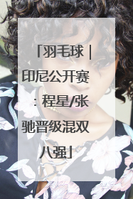 羽毛球｜印尼公开赛：程星/张驰晋级混双八强