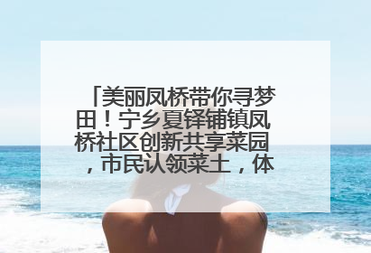 美丽凤桥带你寻梦田！宁乡夏铎铺镇凤桥社区创新共享菜园，市民认领菜土，体验耕种收获乐趣