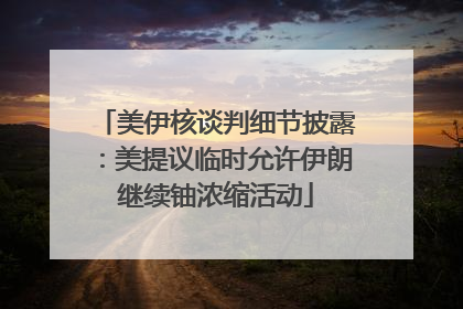 美伊核谈判细节披露：美提议临时允许伊朗继续铀浓缩活动