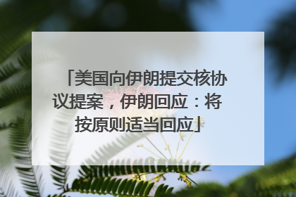 美国向伊朗提交核协议提案，伊朗回应：将按原则适当回应